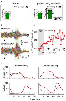 Can Operant Conditioning of EMG-Evoked Responses Help to Target Corticospinal Plasticity for Improving Motor Function in People With Multiple Sclerosis?